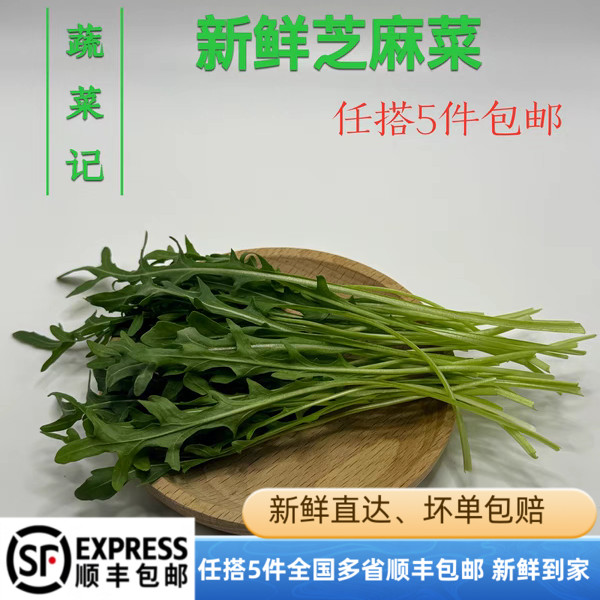 芝麻菜500g新鲜蔬菜沙拉食材西餐健身轻食生吃色拉生菜火箭菜生菜