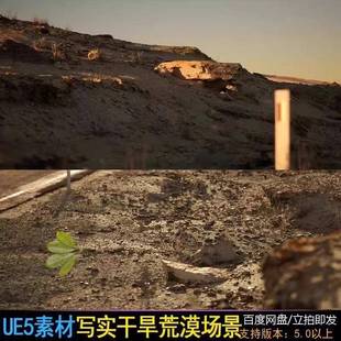 超写实干旱戈壁荒漠场景扫描戈壁公路荒原Arid UE5虚幻 Landscape