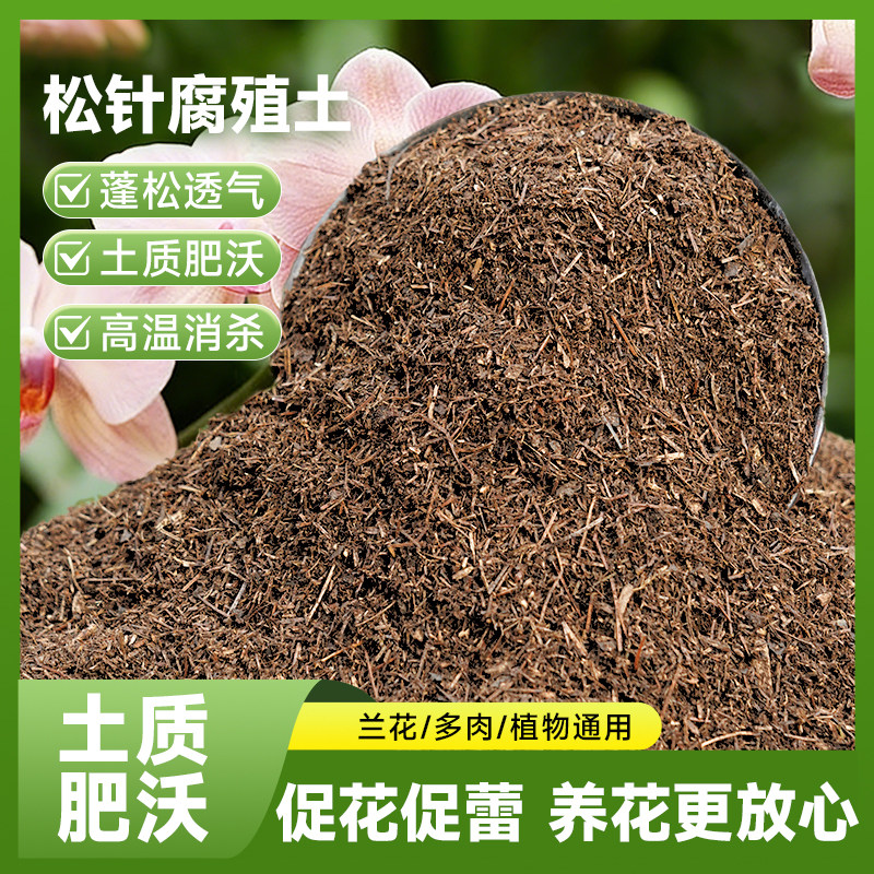 纯松针腐殖土君子兰专用土松针腐叶土腐熟透气兰花天然腐叶松针土
