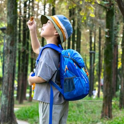 户外儿童小背包轻便男孩外出旅游小学生登山双肩包超轻出游春秋游