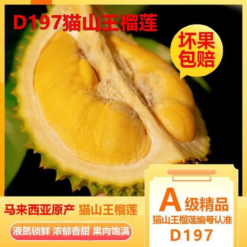 马来西亚猫山王液氮树熟整果特价