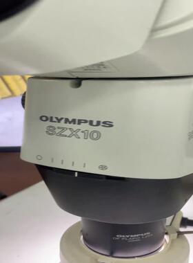 【议价】OLYMPUS奥林巴斯SZX10三目体式显微镜