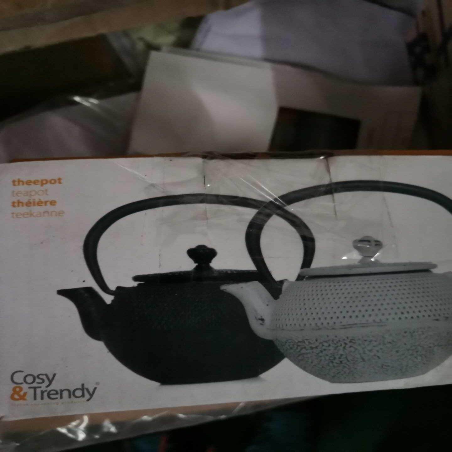 【议价】铁茶壶铁茶壶 欧洲品牌cosy&trendy200全新