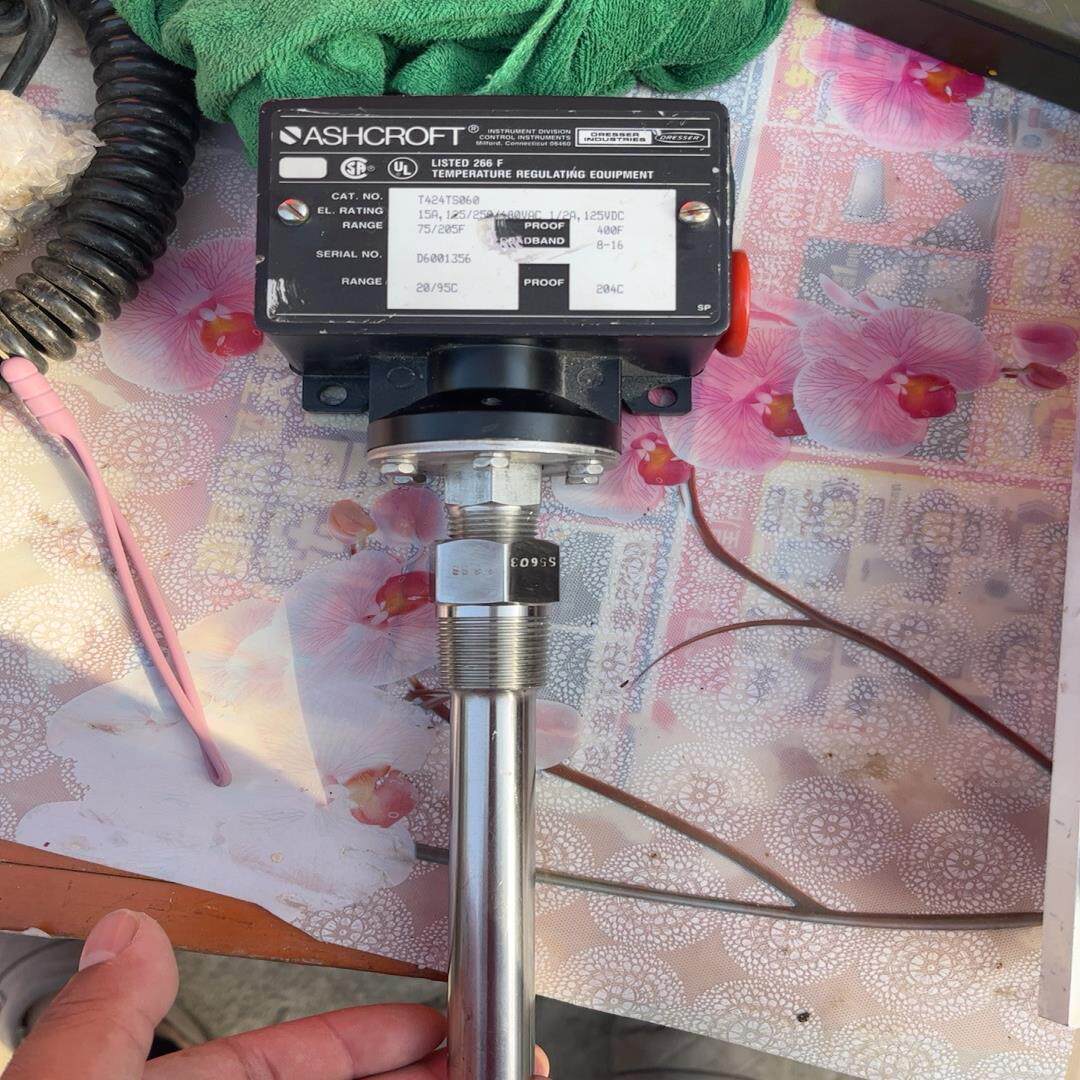 【议价】询价 ASHCROFT LISTED 266F T424TS