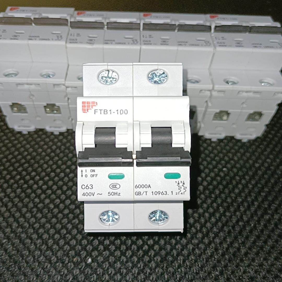 【议价】南京飞腾FTB1-100系列2p断路器C型63安