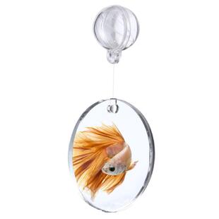 热销QGSO泰国斗鱼训练镜子悬浮球缸外镜罗汉鱼雷龙鱼造景小型鱼缸