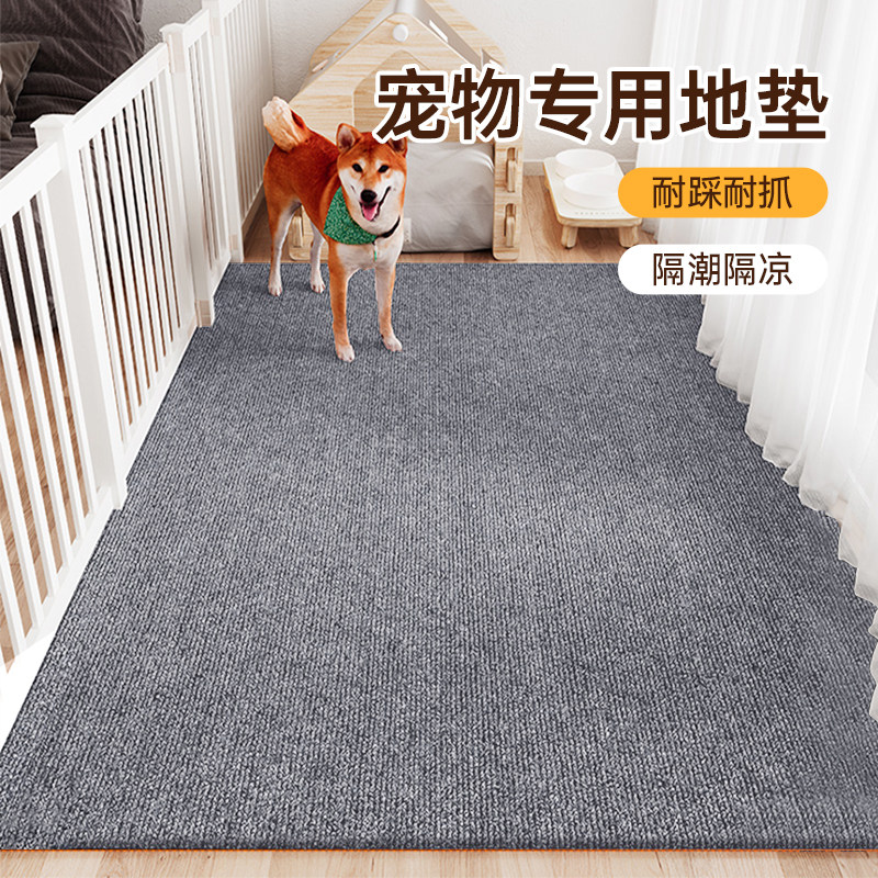 采萱 地毯懒人养的宠物专用狗窝耐磨耐抓猫抓垫入户门口地垫防滑