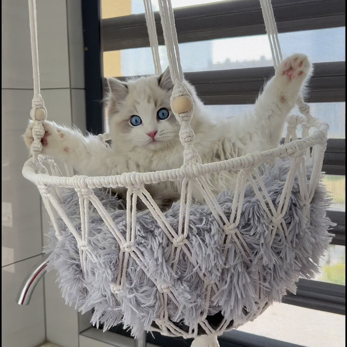 纯手工猫咪吊床窝成品荡秋千编织猫窝宠物吊篮窝悬挂窗户网兜壁挂