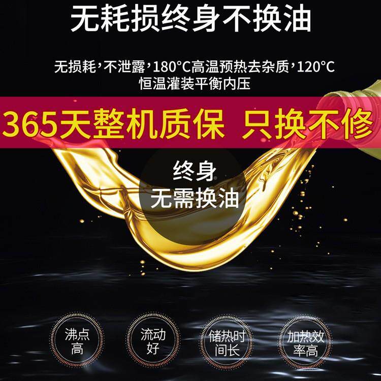 石墨烯油汀热取暖器家用节能电暖气片室风内酊暖DYT-Z11机电油电