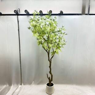 真仿枫叶景造仿真景枫叶树枝婚庆园QEO林观树叶装饰