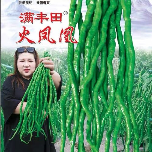 长线椒种子高产长条辣椒种籽