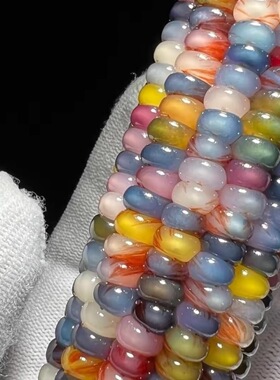 七彩琉璃玉米种子血丝玉米文玩宝石玉米观赏玉米种籽混色玉米种子