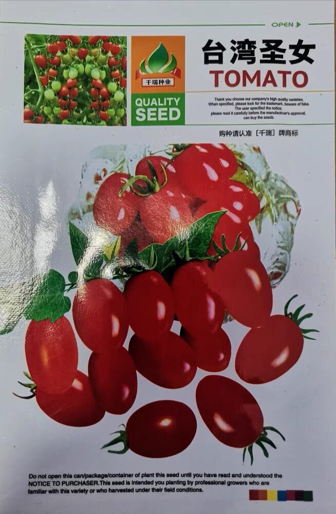 361台湾红果小番茄种子红果樱桃番茄种子串收番茄圣女果种子种籽