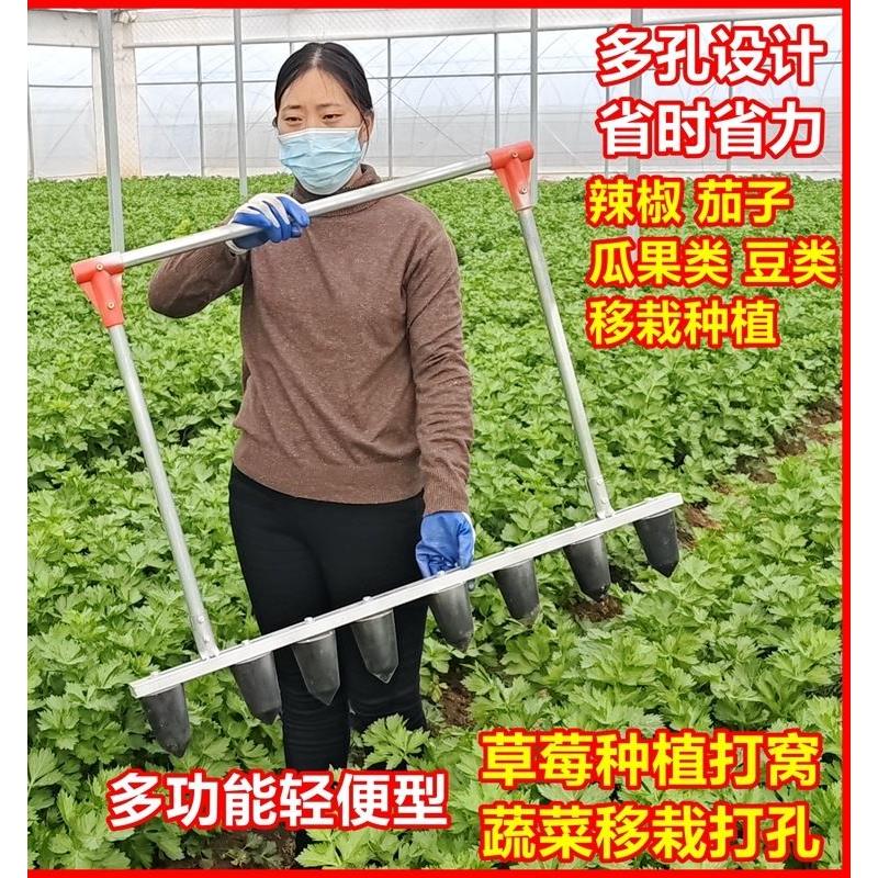 草莓种植打窝神器农用打孔器育苗盘蔬菜定植工具栽苗器打眼打洞机