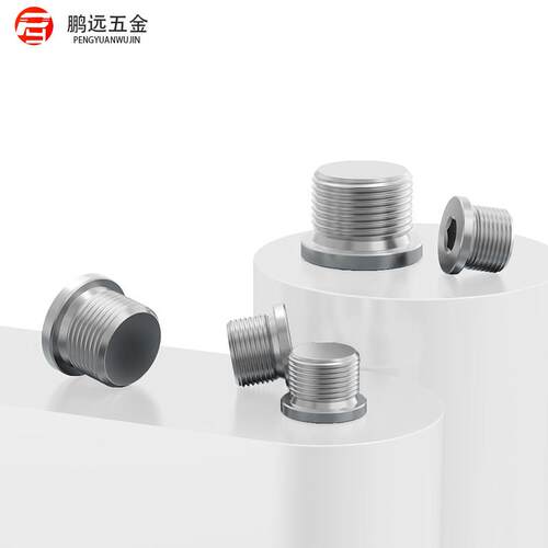 DIN908/304不锈钢内六角带边法兰堵头油塞螺塞丝堵M8*1*2分4分6分