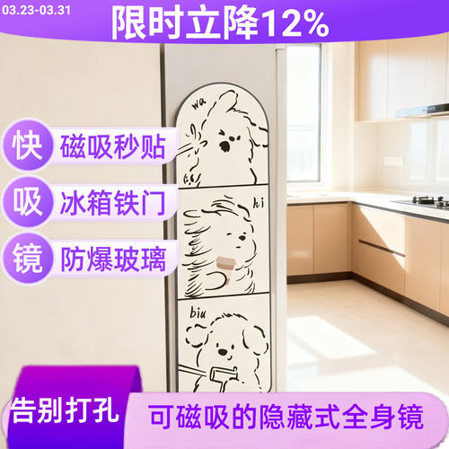 拱形入户门玻璃隐形磁吸镜子全身镜冰箱侧面隐藏式穿衣镜免安装镜