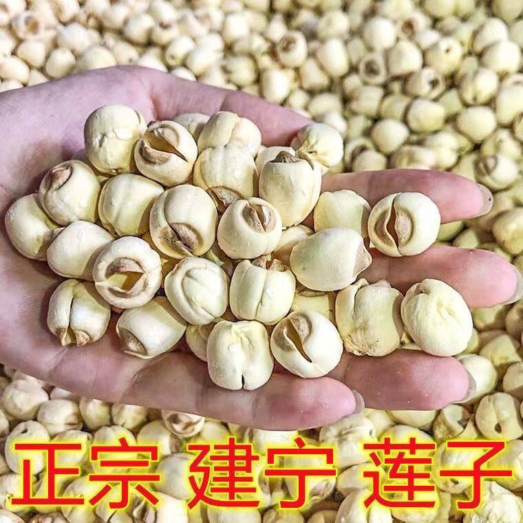 福建建宁正宗特级莲子王