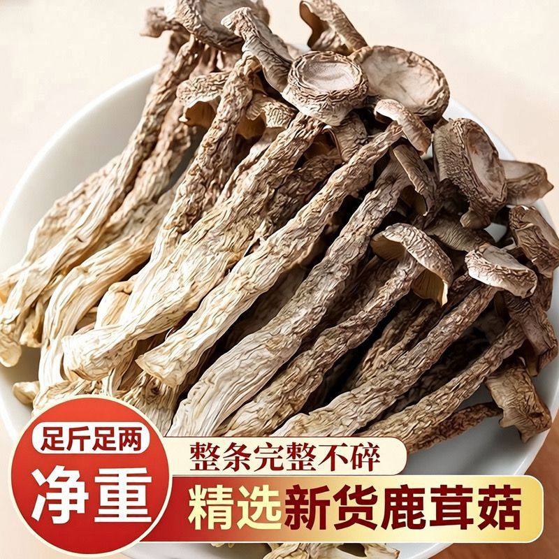 高山鹿茸菇干货500g煲汤