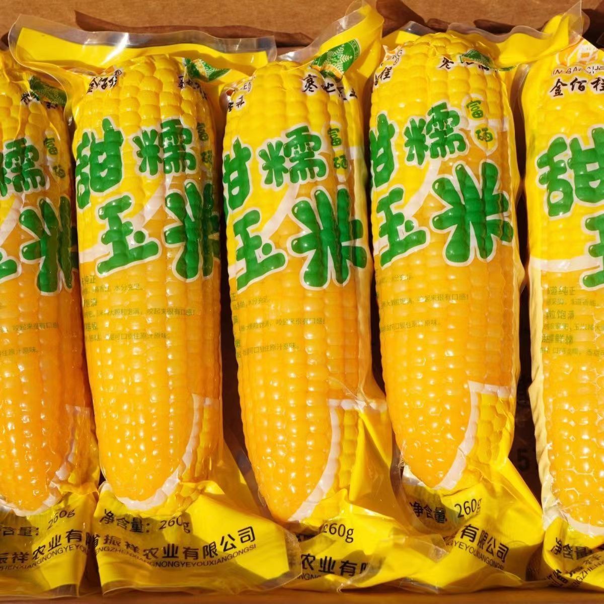 正宗东北粘玉米棒黄糯粘