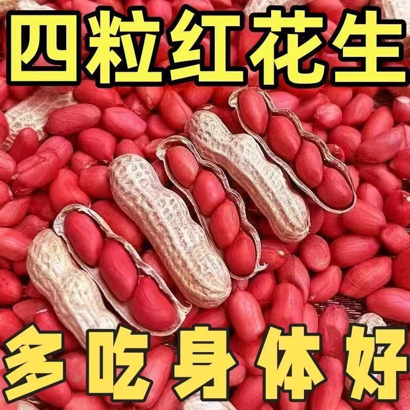 5斤装带壳生花不是种子