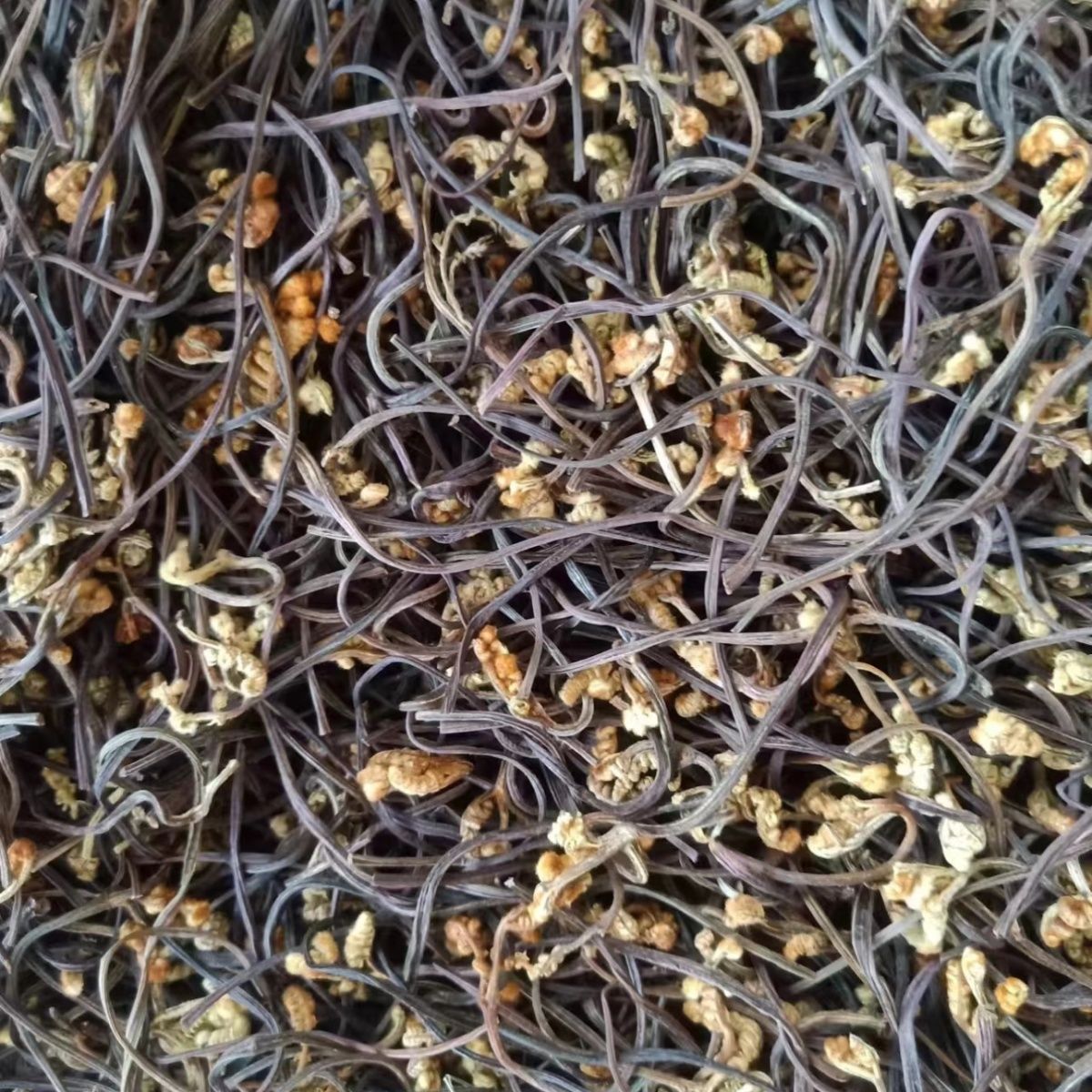 干蕨菜农家自制云南高山