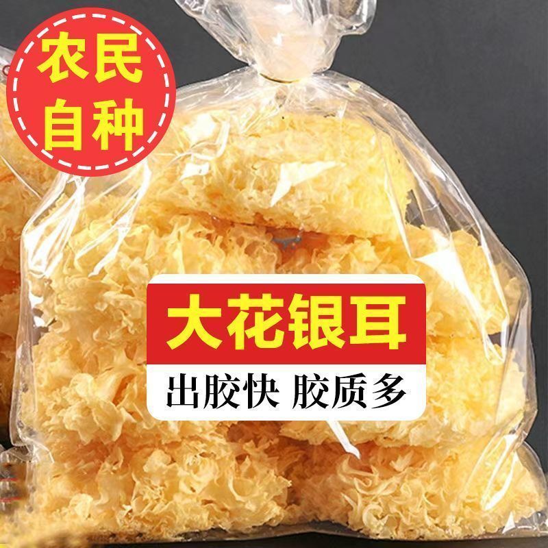 大古田银耳干货无干燥剂
