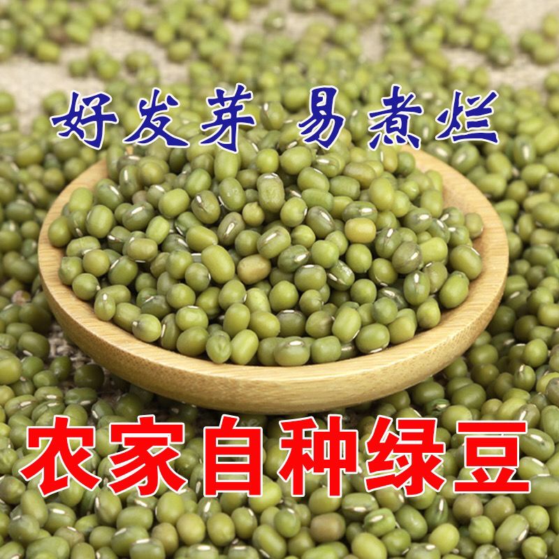 绿豆5斤东北小新鲜发豆