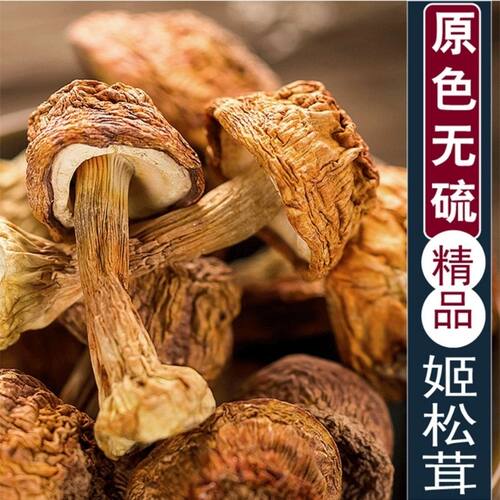 新货黑龙江特产姬松茸煲