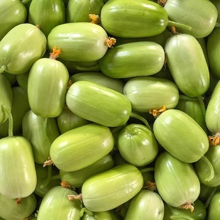 玉女黄瓜种籽拇指水果黄瓜种子脆甜小黄瓜种孑四季家庭阳台盆栽菜