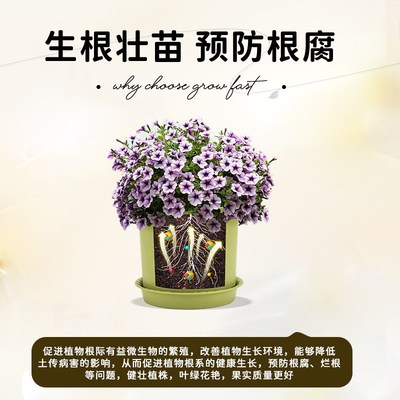 热销枯草芽孢杆菌微生物菌肥家庭植物农用益生菌肥料菌肥改善土壤