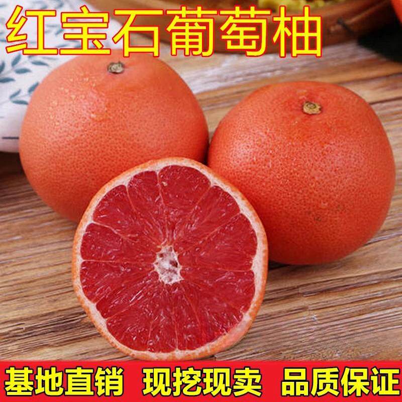 正宗台湾甜葡萄柚苗红宝石西柚树苗红心西柚苗当年挂果树苗盆栽