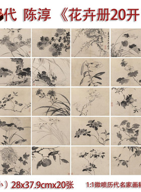明陈淳花卉册二十开写生图册临摹
