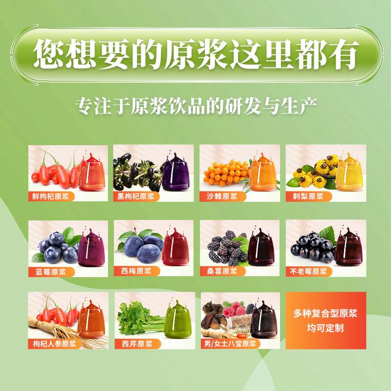 NFC鲜果鲜榨沙棘原浆刺梨蓝莓桑葚红黑枸杞 代发宁夏特产