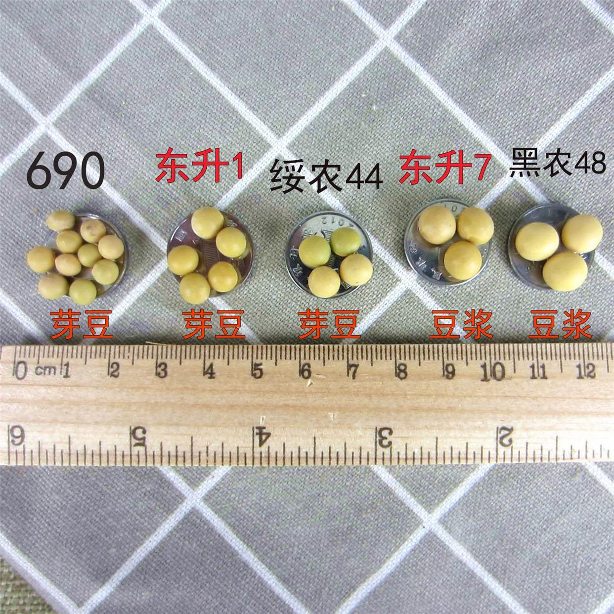 2023新粮非转基因小粒黄豆690生发豆芽纳豆专用黄豆浆10斤小黄金