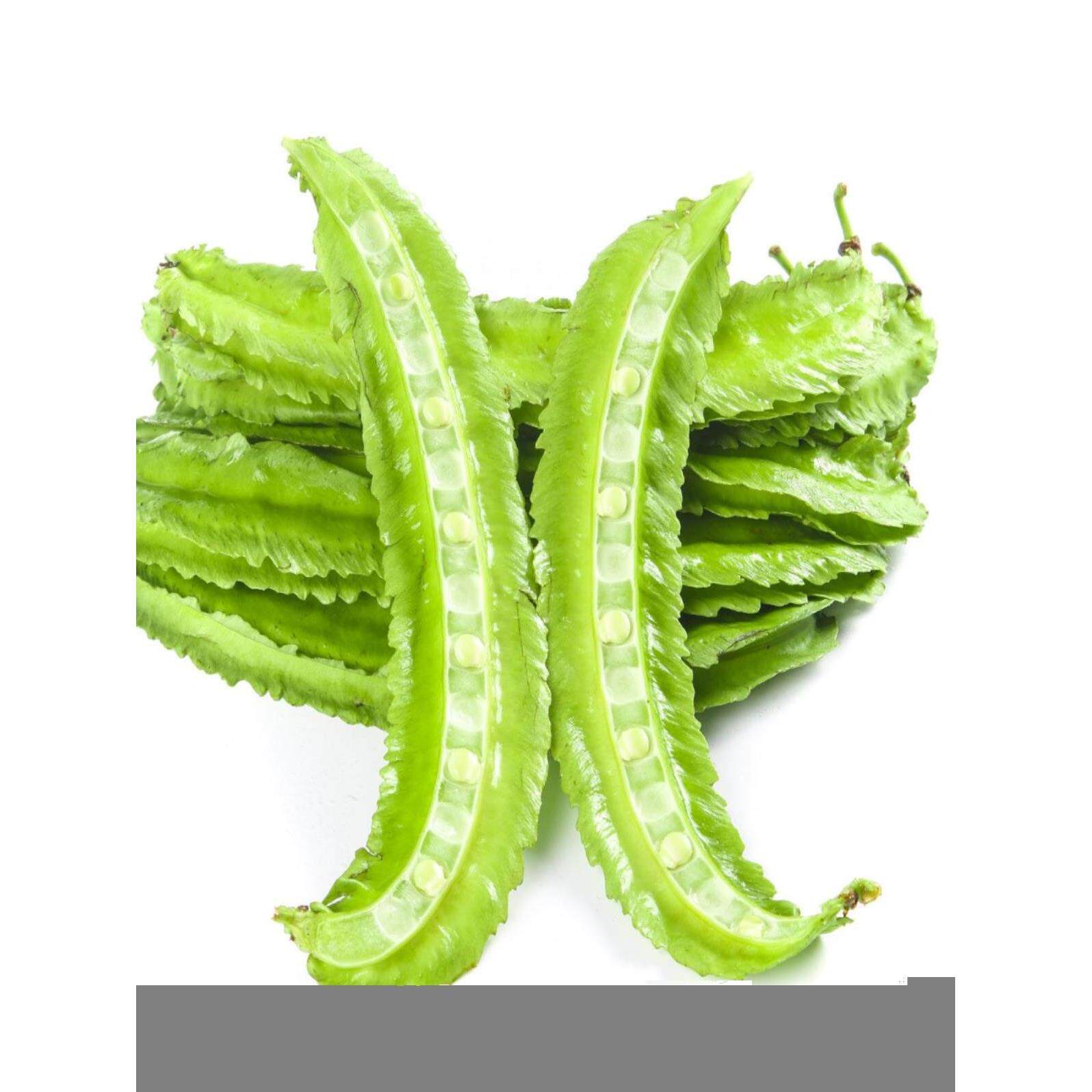 新鲜海南四角豆125g新鲜蔬菜海南特产四棱豆四棱豆绿色龙豆当季农