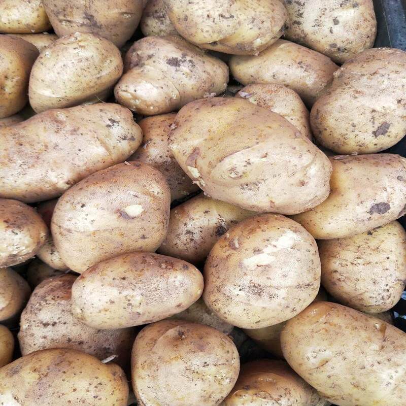 纯手工制作生土豆片昭通特产品农家自制洋芋片新鲜洋芋每份500克