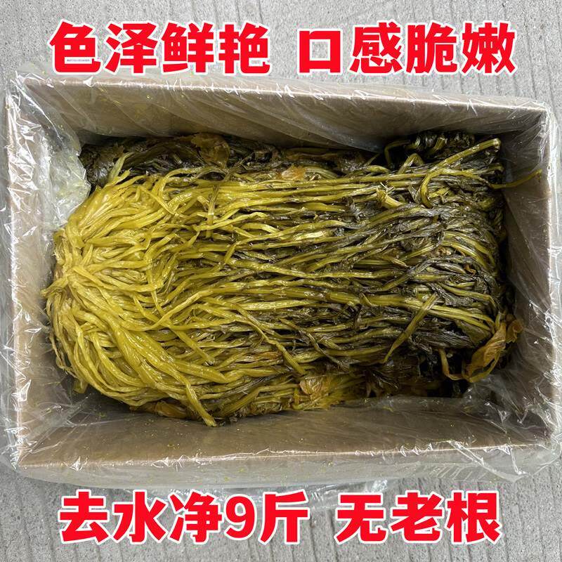 正宗全形整颗雪菜咸菜一箱10斤农家自制雪里红泡菜袋装商用雪里红