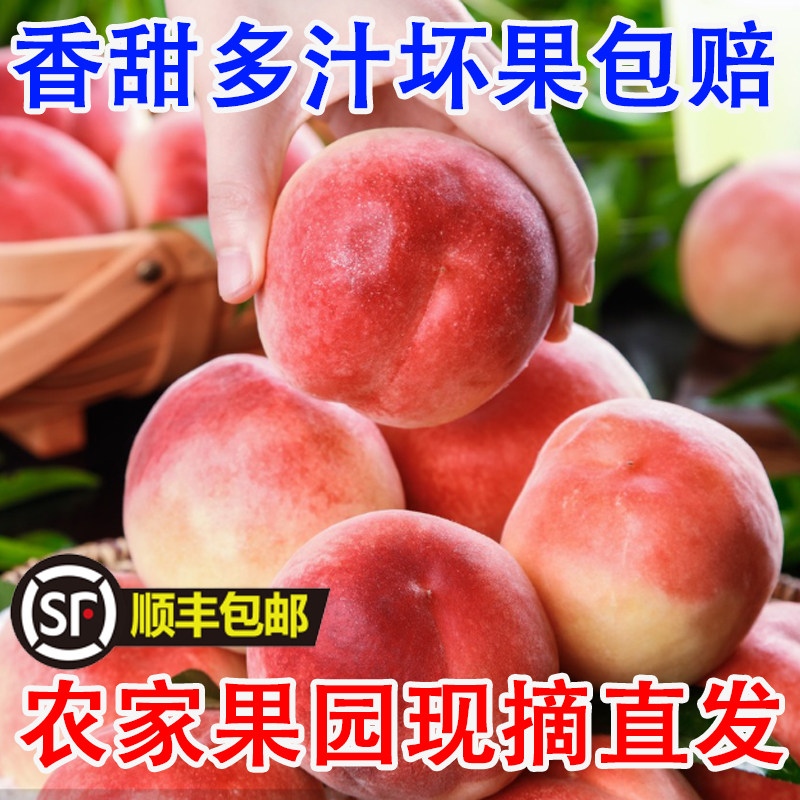 【顺丰包邮】脆桃毛桃安徽六安突围桃子农家果园现摘超甜新鲜桃子