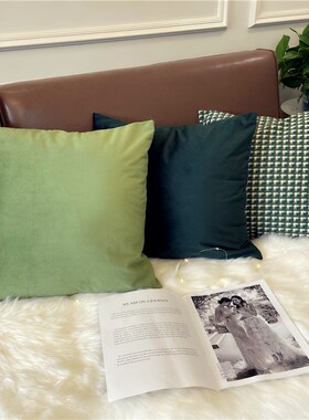 绿色系高级抱枕套北欧轻奢复古沙发客厅现代靠枕床头Y靠背垫天鹅