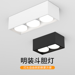 斗胆灯智能无l主灯客厅照明led射灯阳台过道灯卧室吸顶灯筒灯 明装