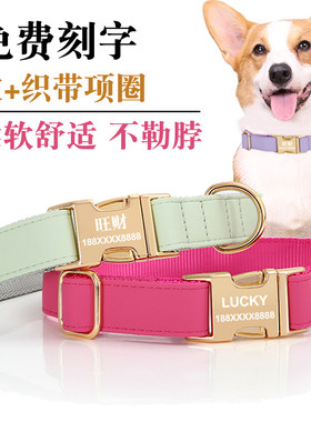 宠物狗狗项圈刻字脖圈防丢定制狗牌中型犬超大型犬透气Z织带狗颈