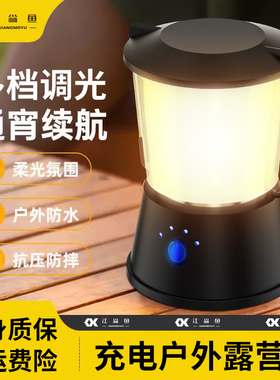 户外照明马灯露营灯超长续航帐篷野营氛围挂式充电LVED野外气氛提