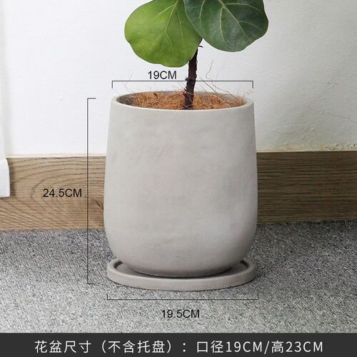 北欧创意落地水泥花盆圆形侘寂风极简透气绿植盆栽陶盆大号带托盘