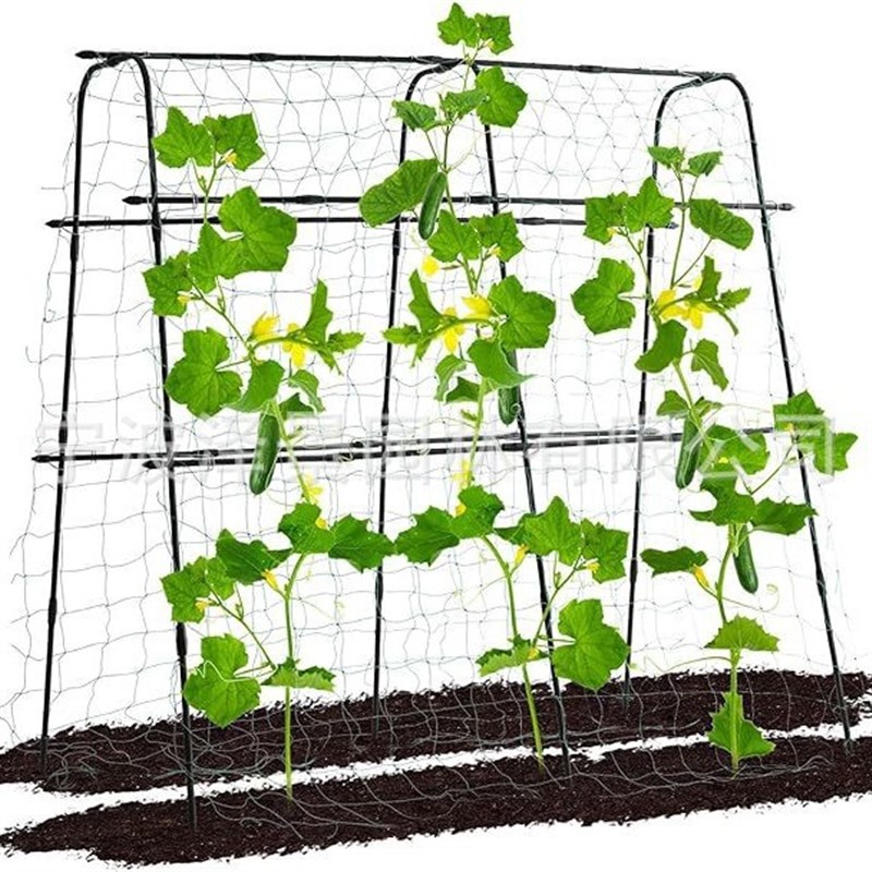 庭院户外包塑钢管园艺支柱支撑杆植物爬藤黄瓜西红柿攀爬架爬藤架