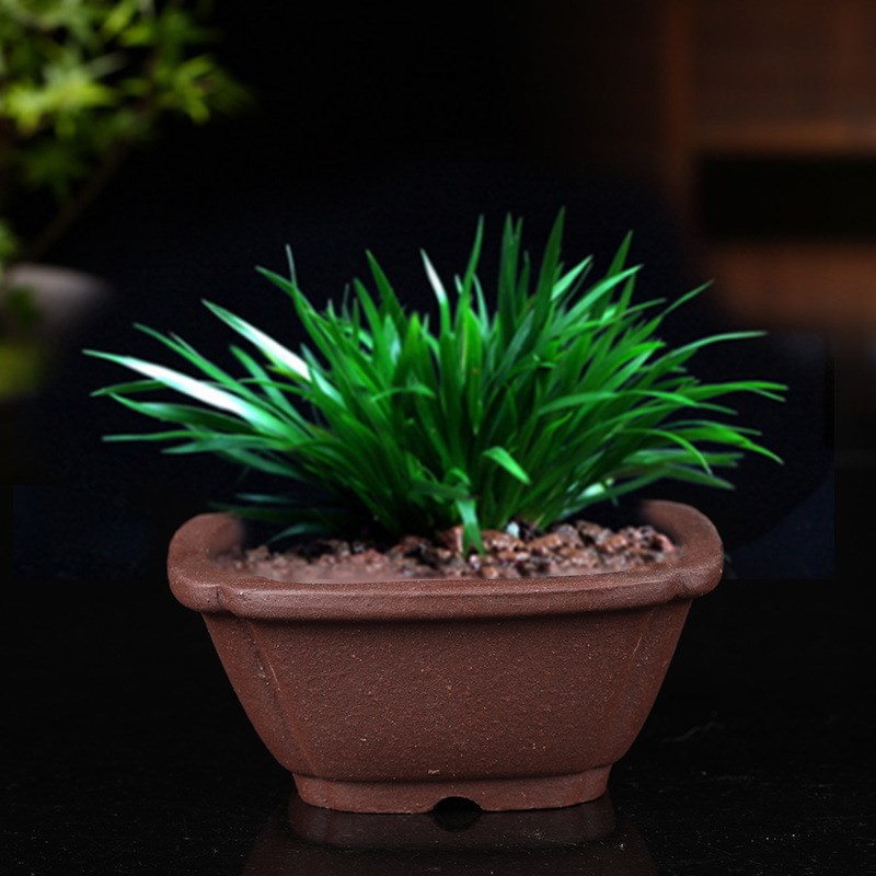 紫砂花盆小号长方形马槽四方精品古典多肉菖蒲盆景盆桌面花卉绿植