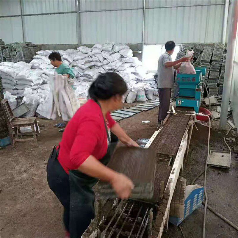 厂家销售50L大包装水稻育苗基质家庭农场种植大户机插秧育秧基质