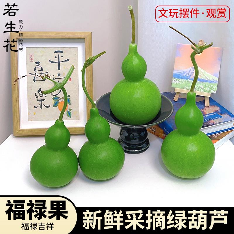 【福禄果】新鲜葫芦果绿皮福禄双全吉祥好运装饰摆件观赏送礼佳品