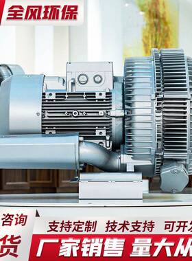 RB-72S-4双叶轮旋涡气泵5.5kw曝气增压高负压吸附高压风机