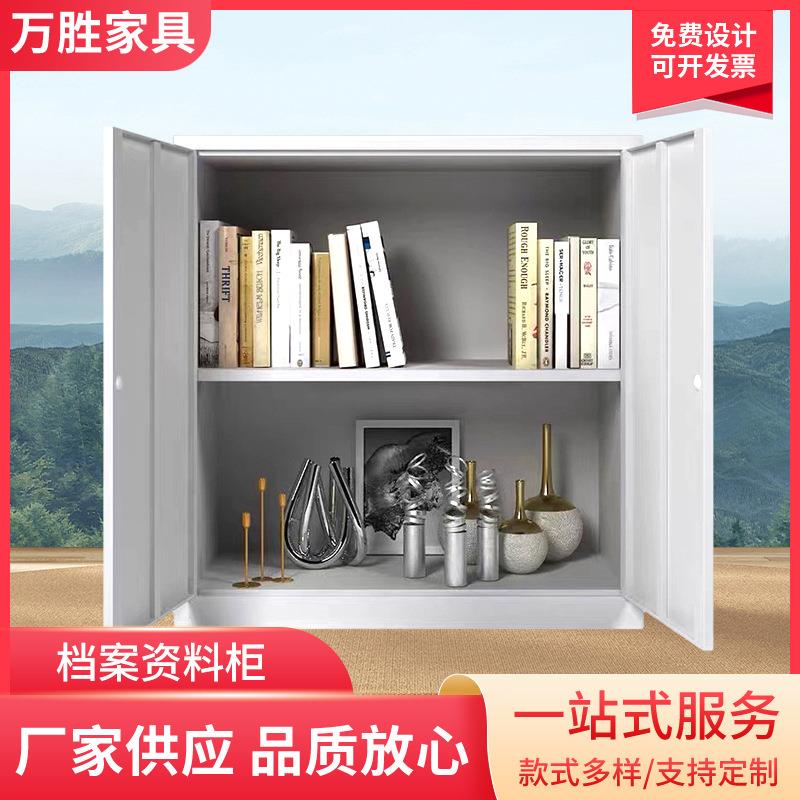新款家用杂物矮柜文件柜加厚办公室铁皮柜宿舍储物柜档案资料柜