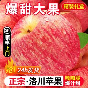 整箱礼盒冰糖心脆甜苹果 正宗陕西洛川苹果10斤新鲜水果红富士当季